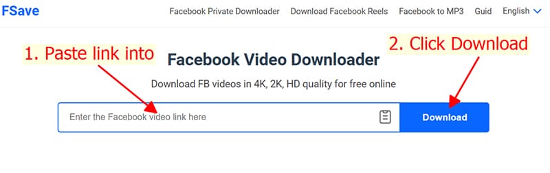 Step 2: Paste URL into FSave.to